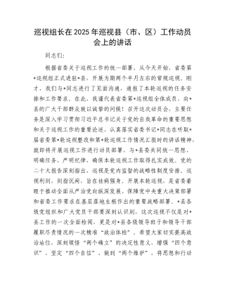 巡视组长在2025年巡视县（市、区）工作动员会上的讲话.docx