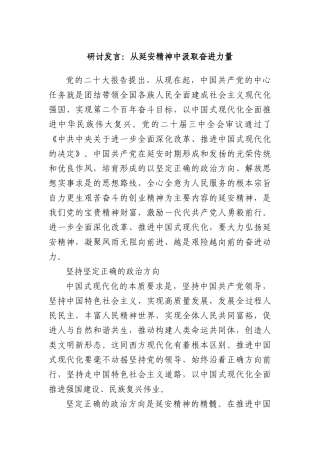 研讨发言：从延安精神中汲取奋进力量.docx