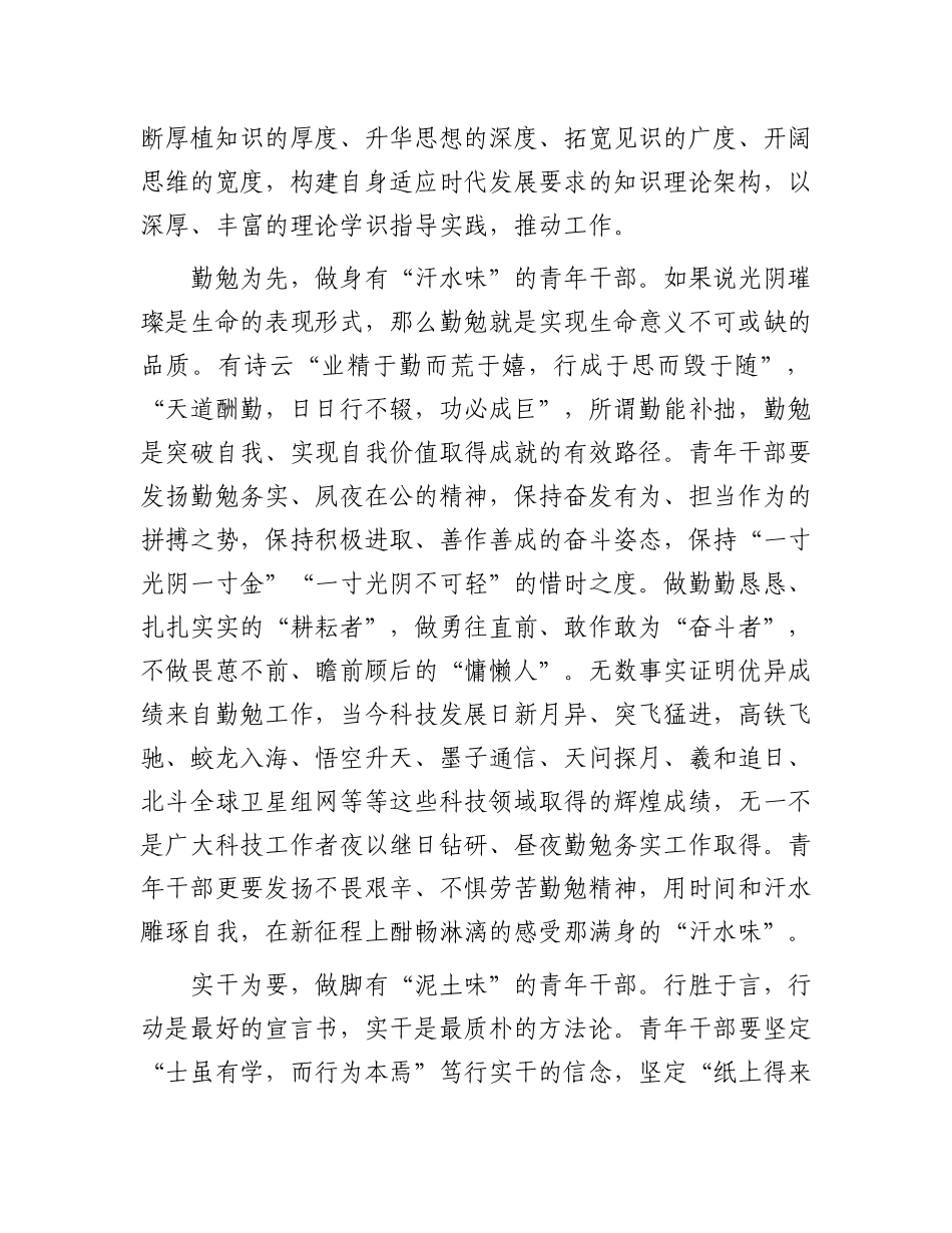 研讨发言：坚持砥砺锤炼五个“味” 努力做堪当重任的青年干部.docx_第2页
