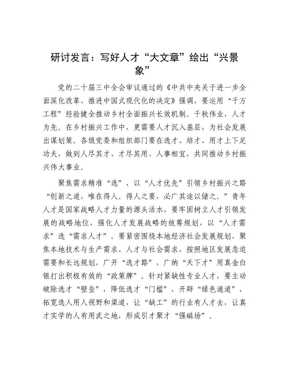 研讨发言：写好人才“大文章” 绘出“兴景象”.docx_第1页