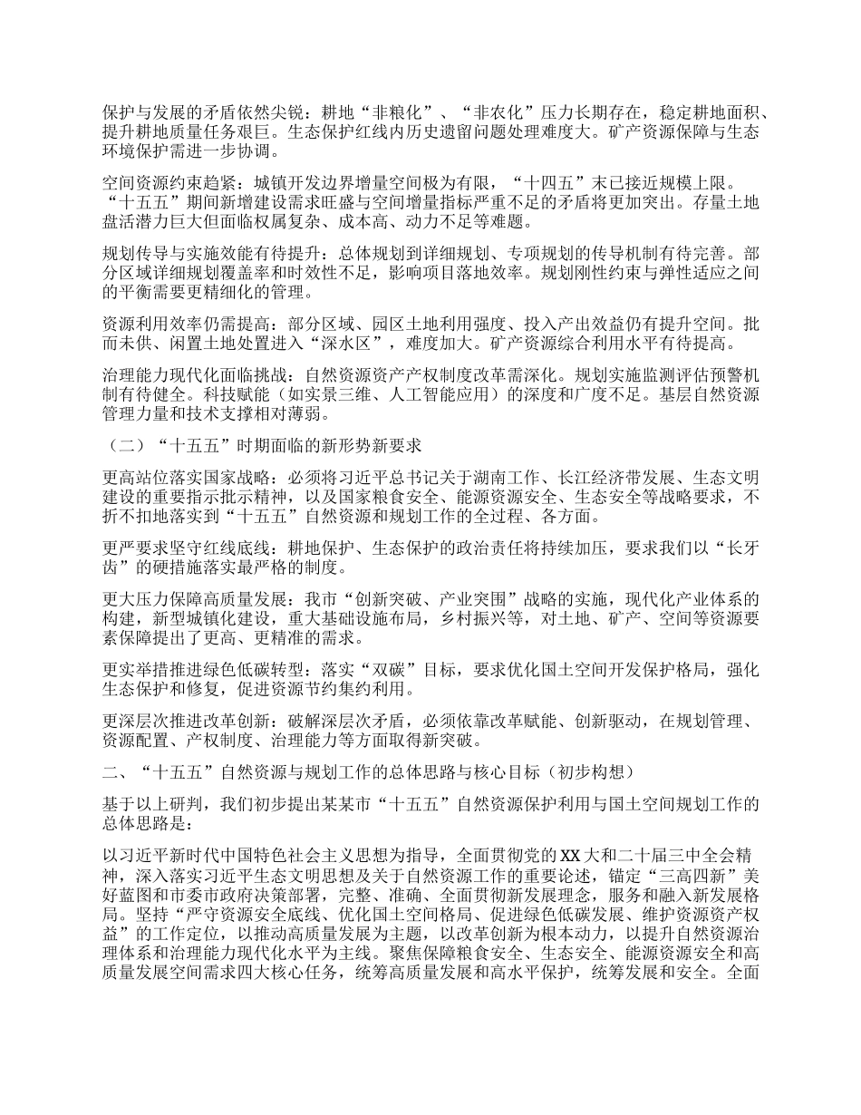 于某某市“十五五”自然资源保护利用与国土空间规划实施工作的汇报 ——在某某市“十五五”市级重点专项规划编制工作座谈会上的发言.docx_第2页