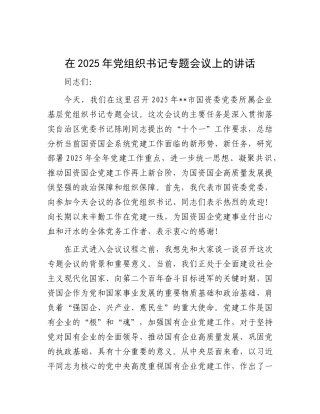 在2025年X组织书记专题会议上的讲话.docx