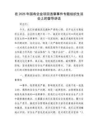 在2025年国有企业项目违章事件专题组织生活会上的督导讲话.docx