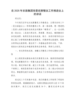 在2025年农旅集团X委巡察整改工作推进会上的讲话.docx