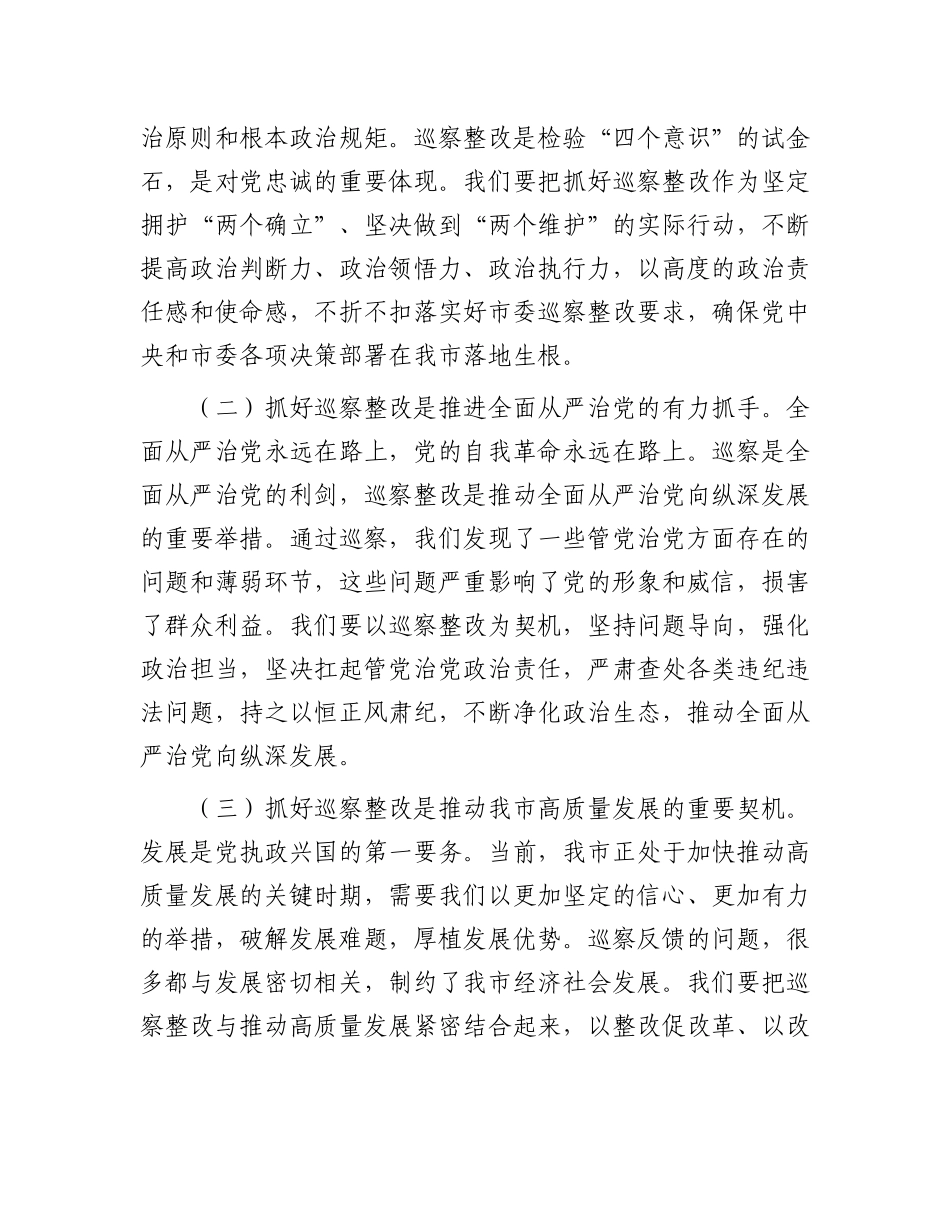 在2025年市委巡查反馈意见整改动员会上的讲话.docx_第2页