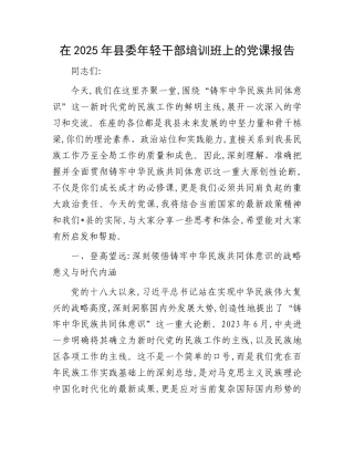 在2025年县委年轻干部培训班上的X课报告.docx