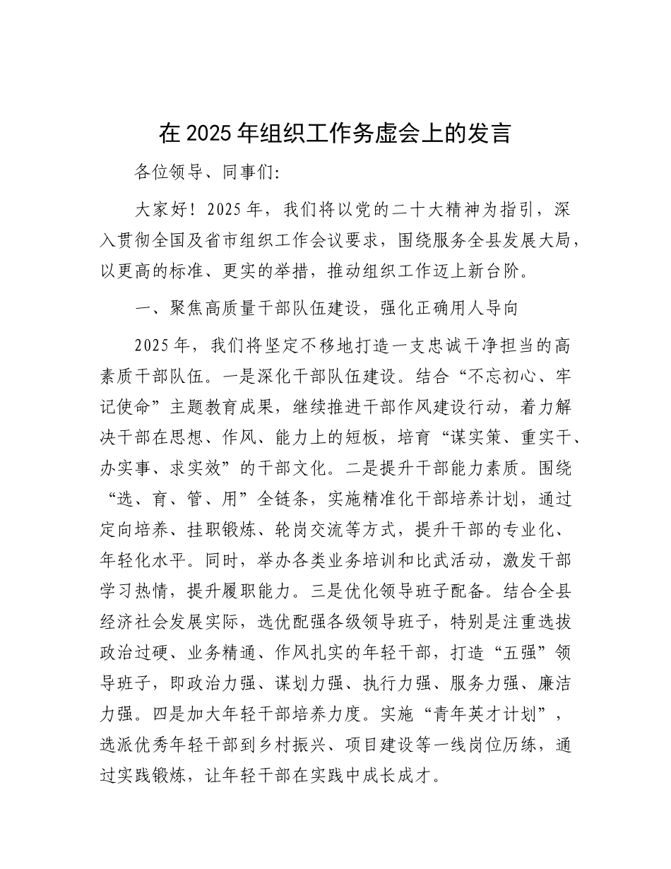 在2025年组织工作务虚会上的发言.docx_第1页