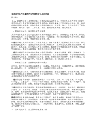 在某某市总河长暨防汛备汛调度会议上的讲话.docx