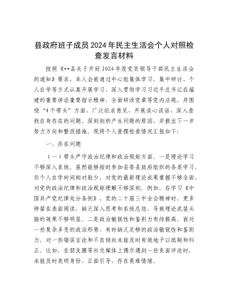 县政府班子成员2024年民主生活会个人对照检查发言材料.docx