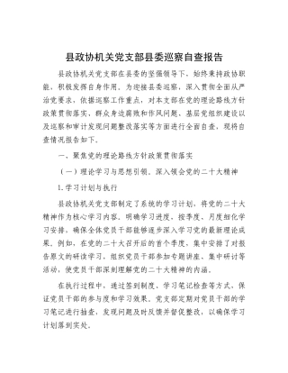 县政协机关X支部县委巡察自查报告.docx