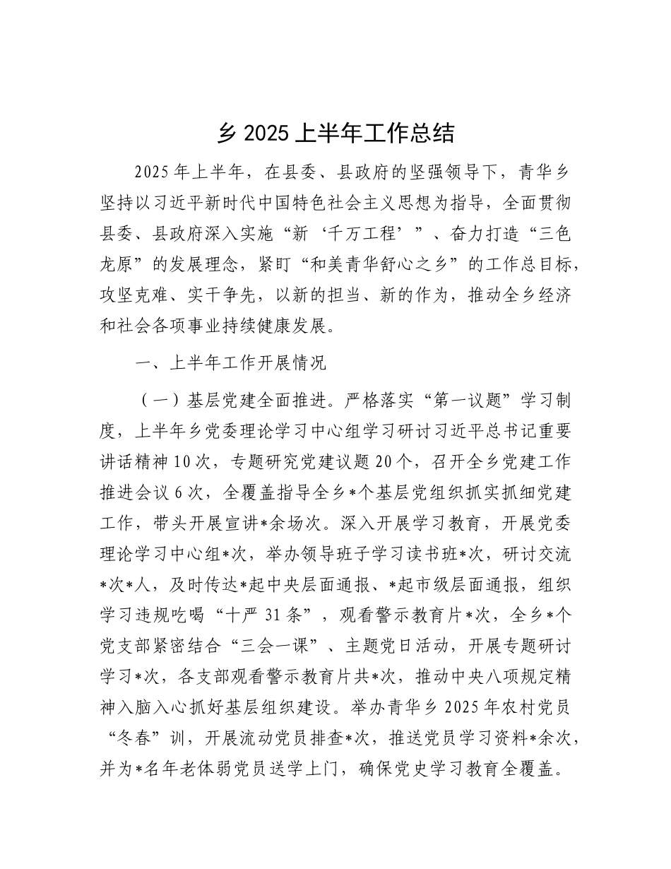 乡2025上半年工作总结.docx_第1页