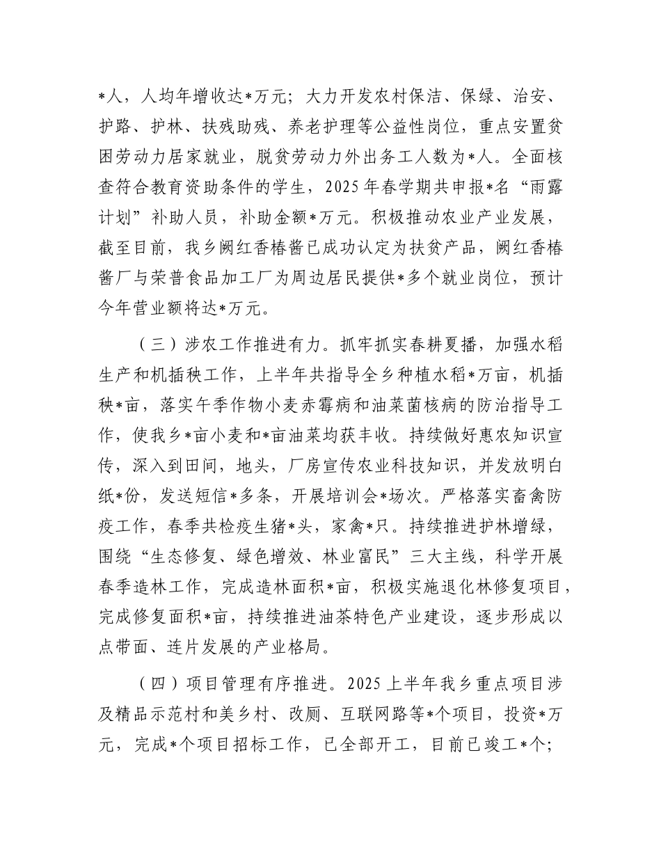 乡2025上半年工作总结.docx_第3页