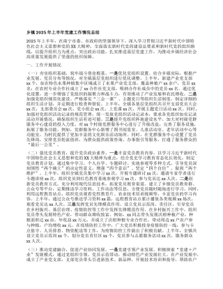 乡镇2025年上半年X建工作情况总结.docx