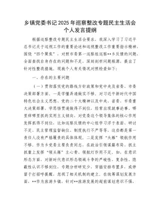 乡镇X委书记2025年巡察整改专题民主生活会个人发言提纲.docx
