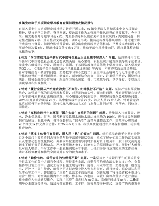 乡镇X政班子XXXX学习教育查摆问题整改情况报告.docx