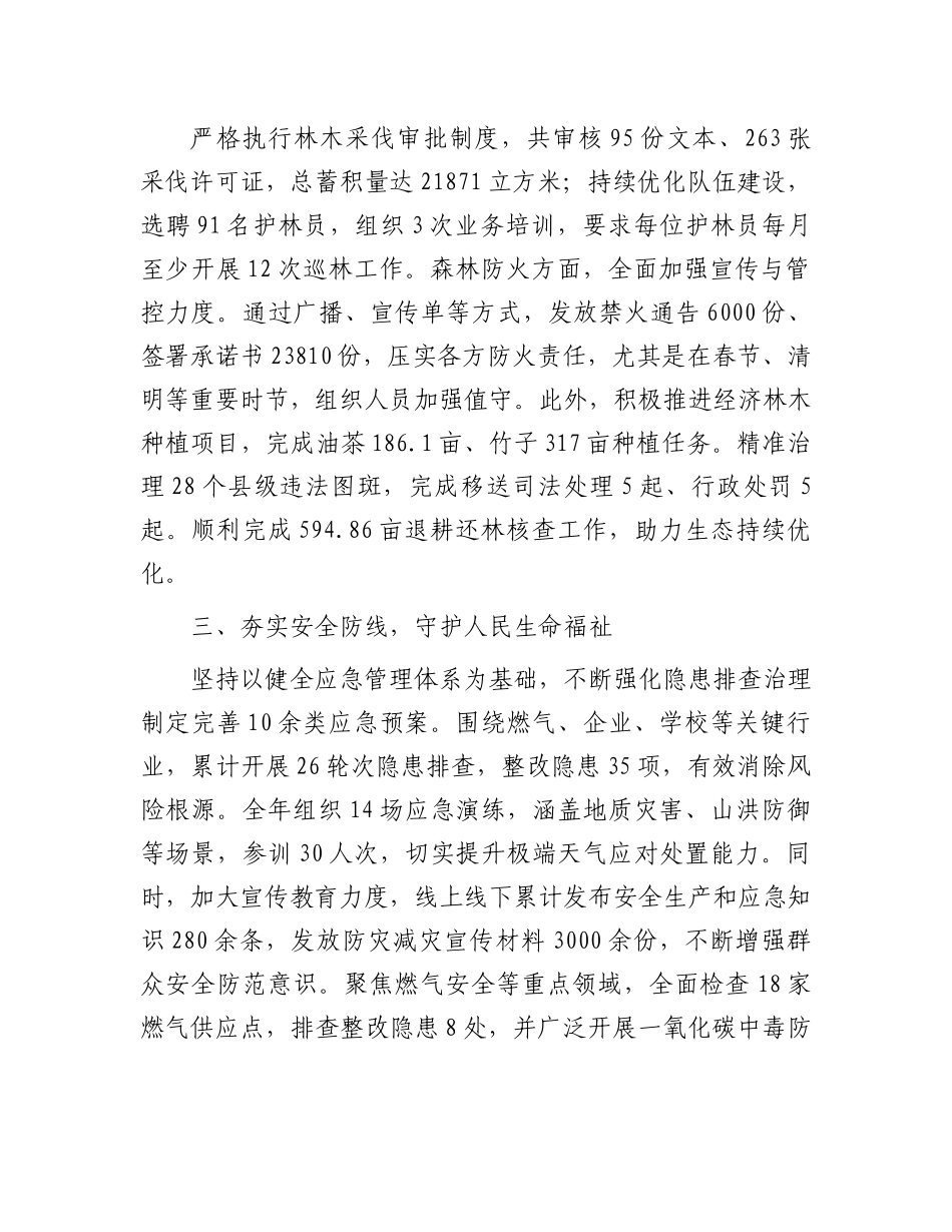 乡镇服务中心2025年上半年工作汇报发言(1).docx_第2页