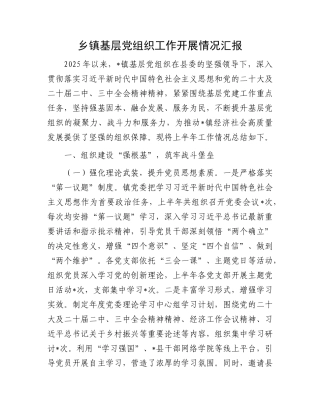 乡镇基层X组织工作开展情况汇报.docx