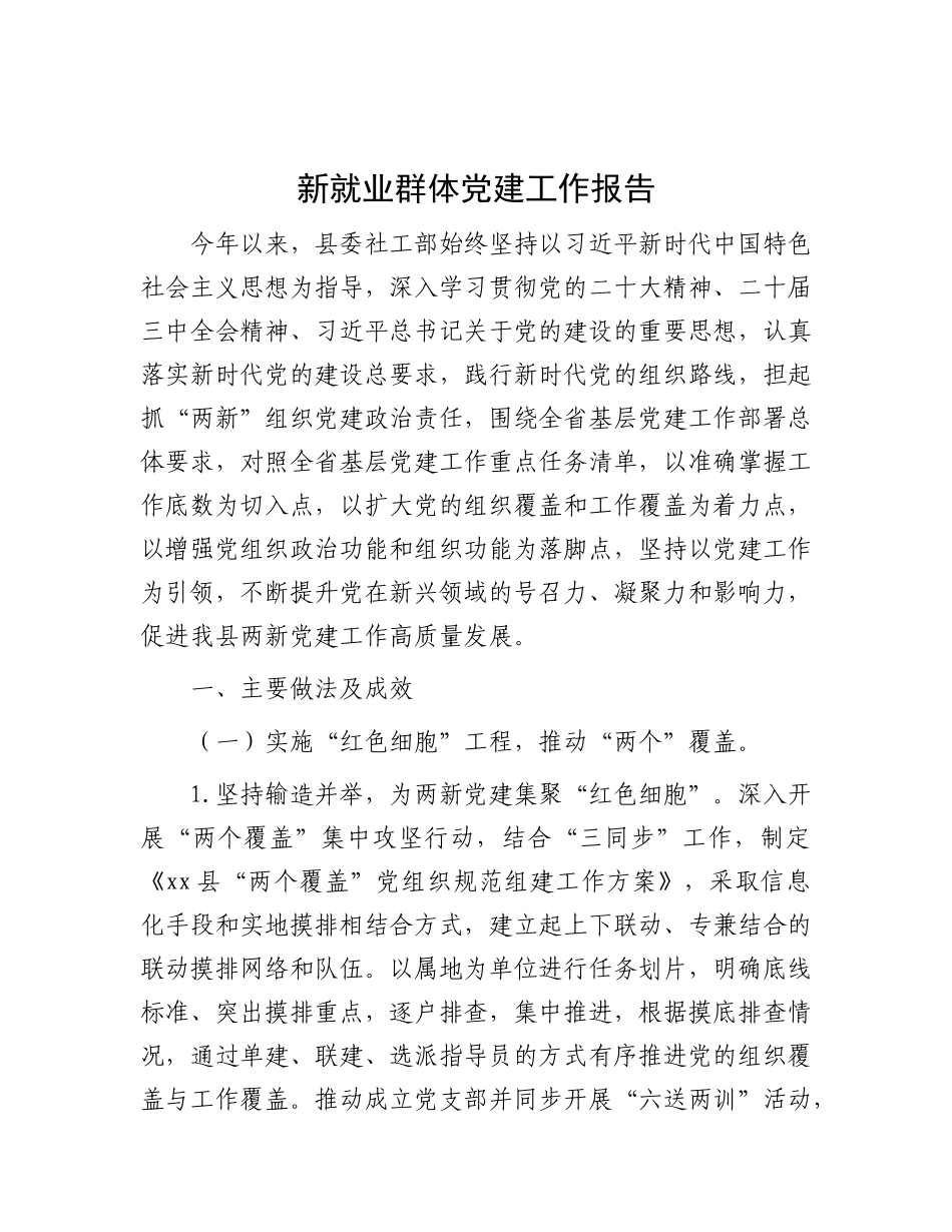 新就业群体X建工作报告.docx_第1页