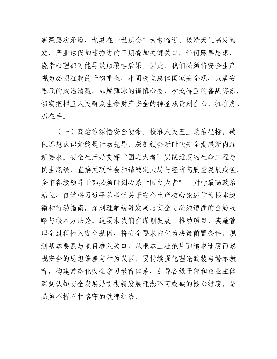 在全市危险化学品和烟花爆竹安全生产专委会会议上的讲话.docx_第2页