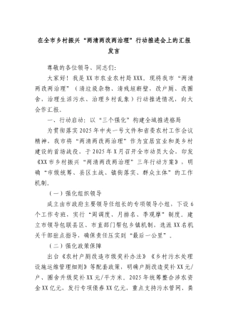 在全市乡村振兴“两清两改两治理”行动推进会上的汇报发言.docx