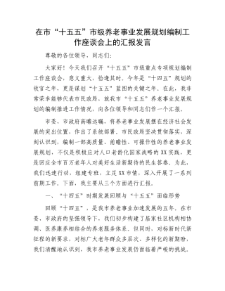 在市“十五五”市级养老事业发展规划编制工作座谈会上的汇报发言.docx