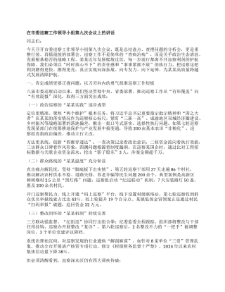 在市委巡察工作领导小组第九次会议上的讲话.docx