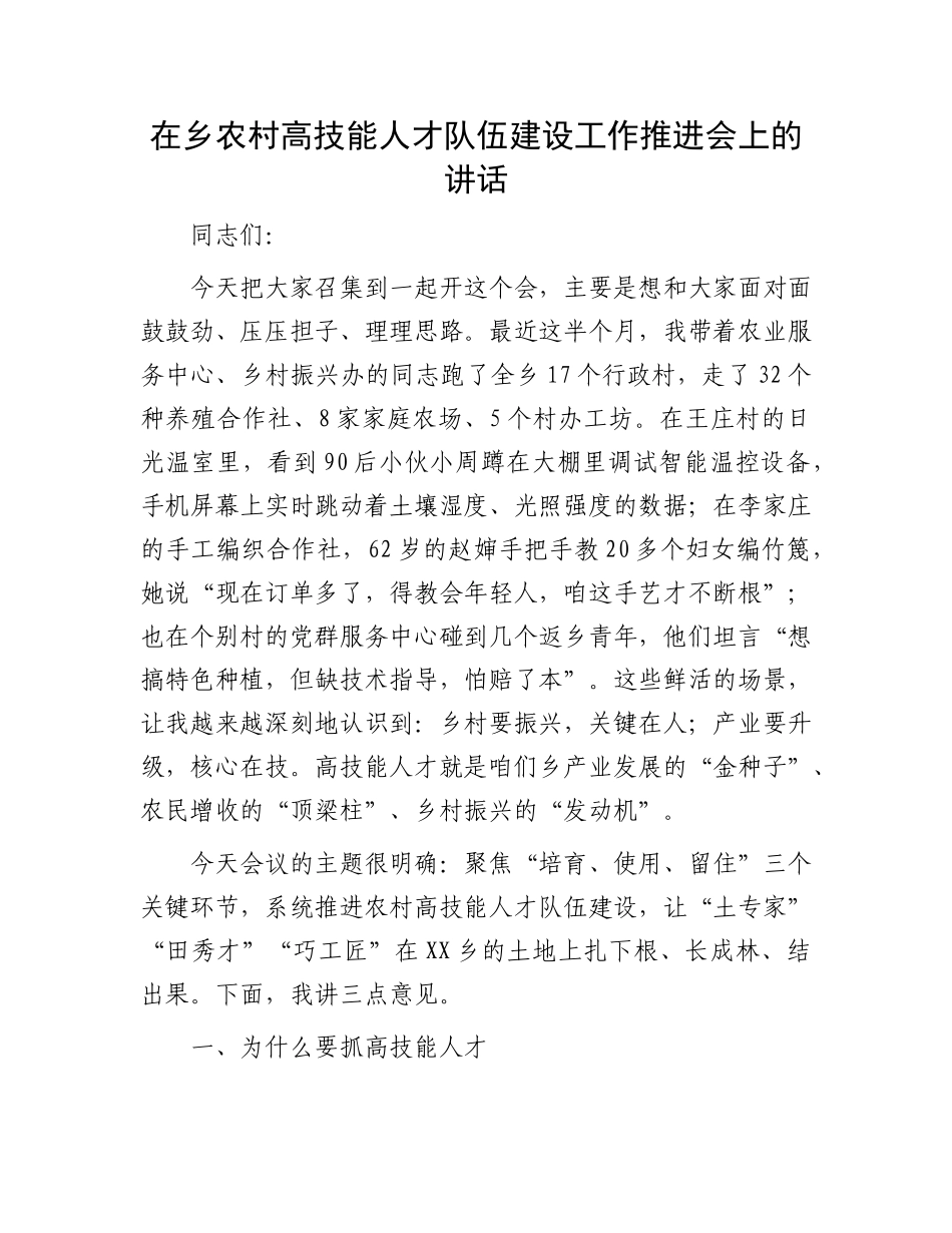 在乡农村高技能人才队伍建设工作推进会上的讲话.docx_第1页