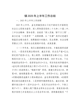 镇2025年上半年工作总结.docx