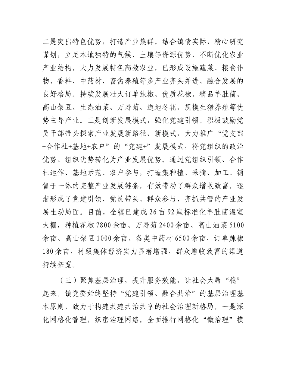 镇X委X建引领乡村全面振兴工作总结.docx_第3页