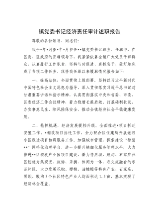 镇X委书记经济责任审计述职报告.docx