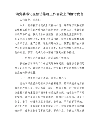镇X委书记在信访维稳工作会议上的检讨发言.docx