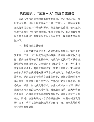 镇X委执行“三重一大”制度自查报告.docx