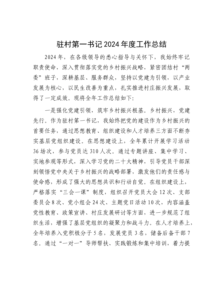 驻村第一书记2024年度工作总结.docx_第1页
