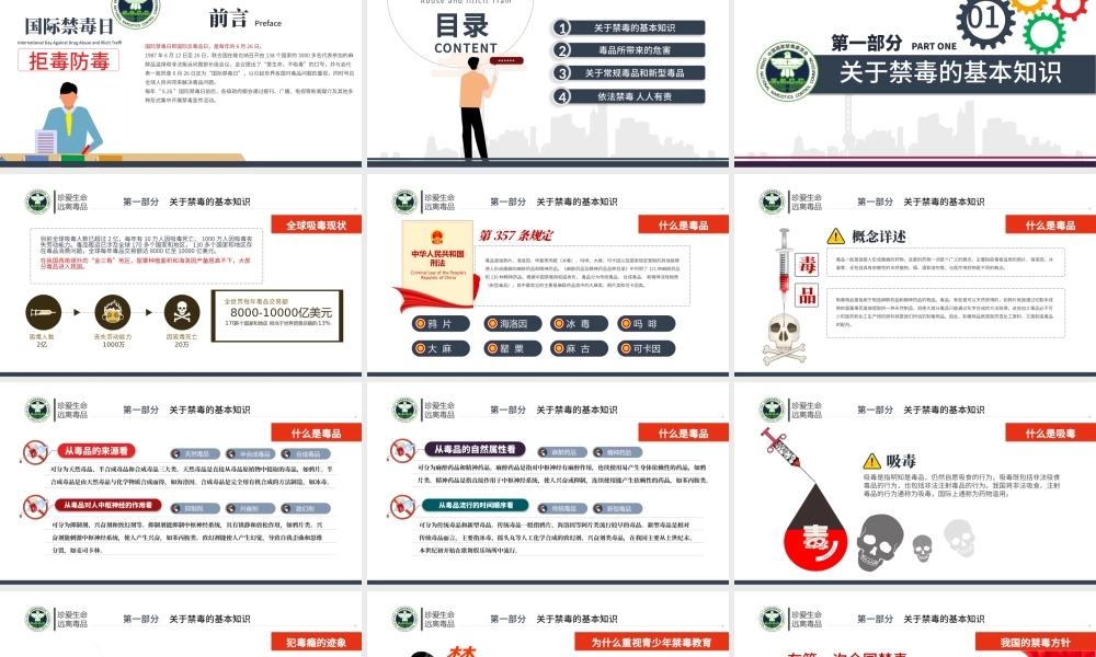 2020国际禁毒日珍爱生命远离毒品禁毒拒毒教育通用模板.pptx