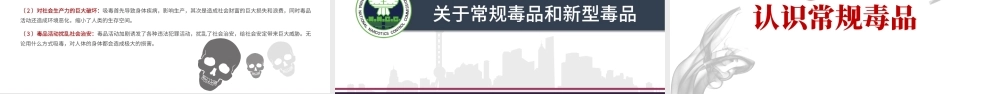 2020国际禁毒日珍爱生命远离毒品禁毒拒毒教育通用模板.pptx