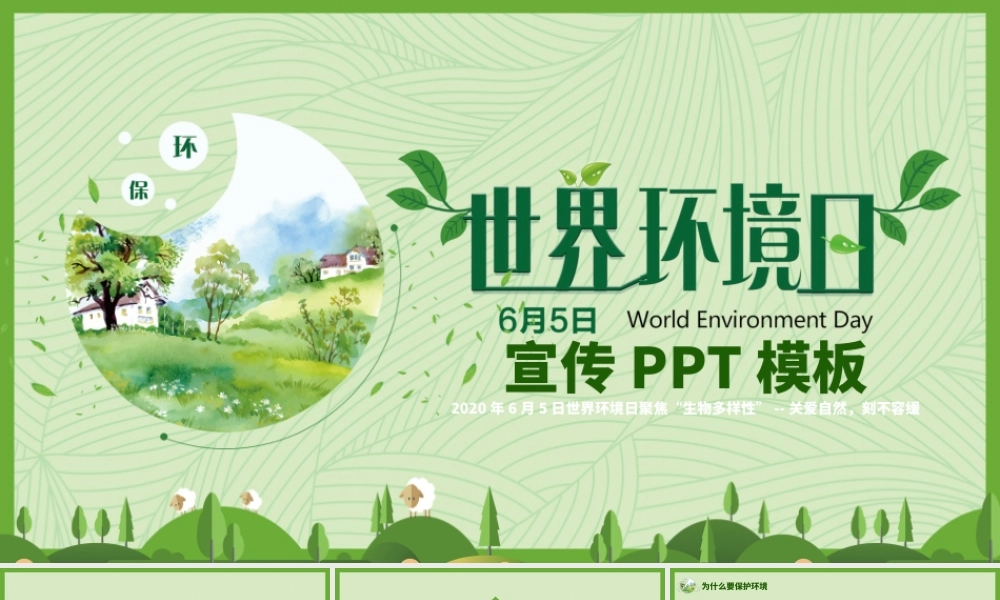 2020年世界环境日宣传PPT.pptx