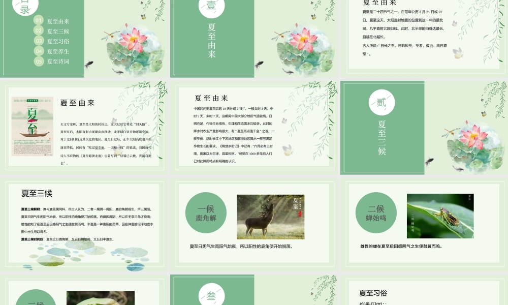2020年最新传统节气之夏至PPT模板.pptx
