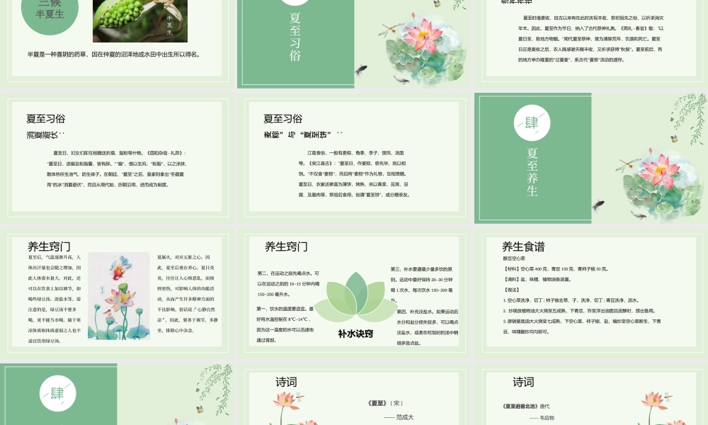 2020年最新传统节气之夏至PPT模板.pptx
