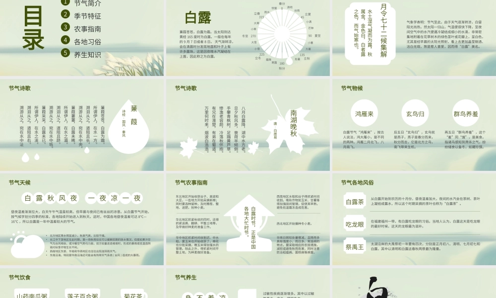 2021白露节气PPT清新简雅二十四节气中国传统文化主题班会课件下载.pptx
