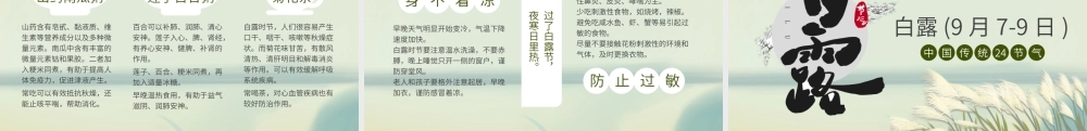 2021白露节气PPT清新简雅二十四节气中国传统文化主题班会课件下载.pptx