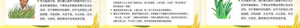 2021济天下精神永传传承杂交水稻之父—袁隆平精神小学卡通专题.pptx
