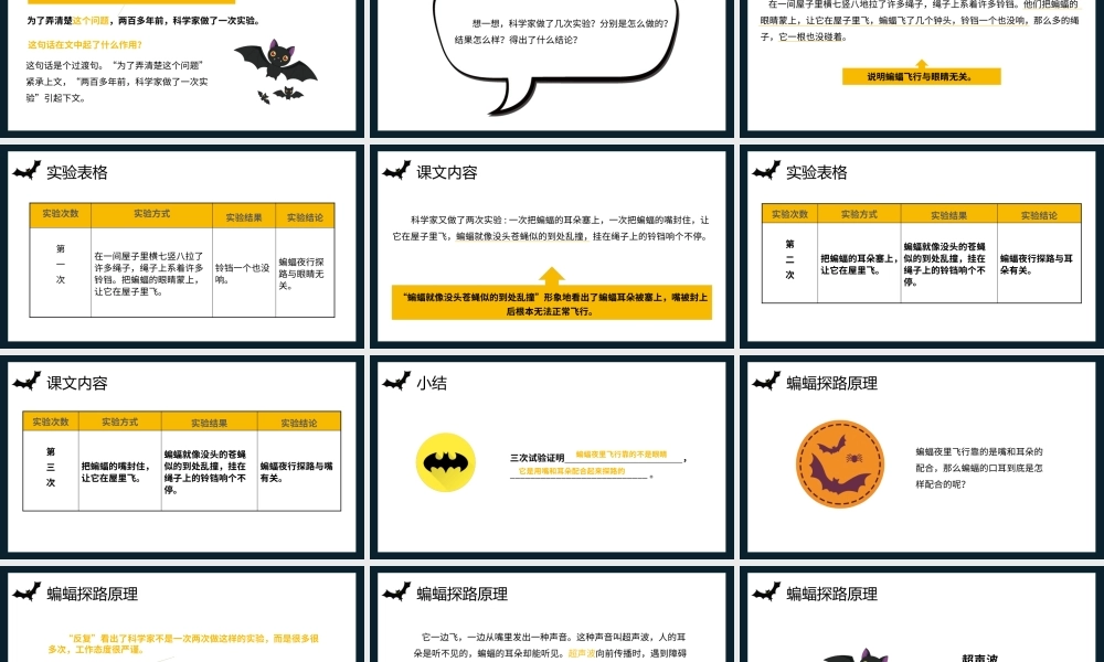 2022蝙蝠和雷达PPT第6课小学四年级语文上册部编人教版教学课件.pptx