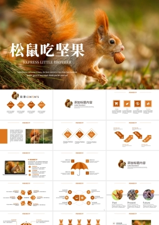 2022动物松鼠吃松果保护动物动态PPT实景创意语文教学课件模板.pptx