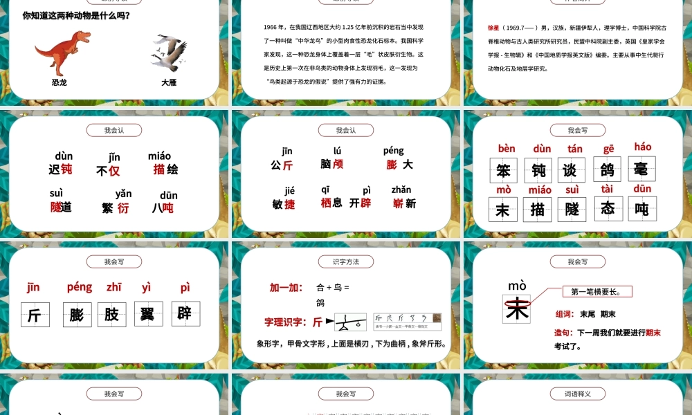 2022飞向蓝天的恐龙PPT第6课小学四年级语文下册部编人教版教学课件.pptx