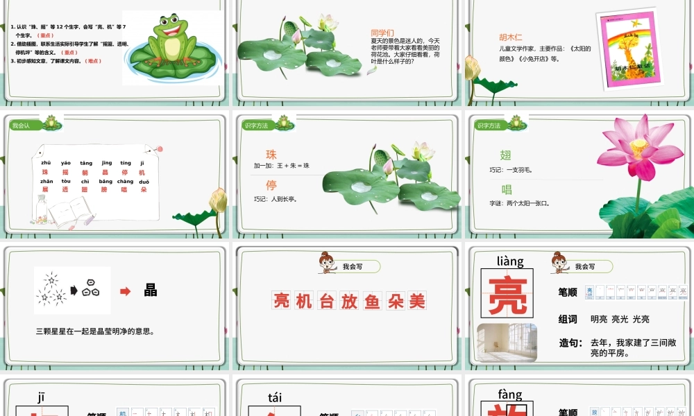2022荷叶圆圆PPT插画风课文第13课小学一年级语文下册人教版教学课件.pptx
