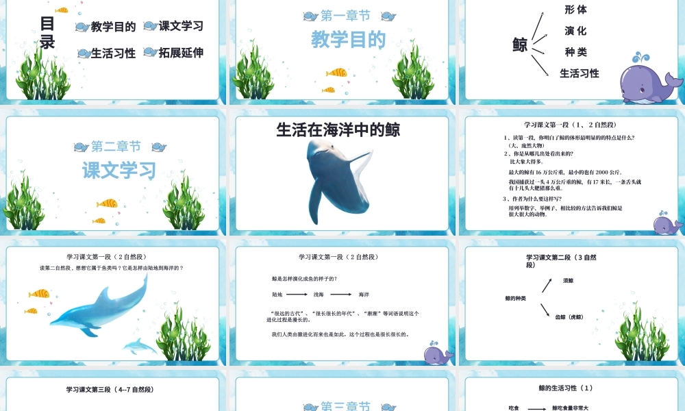 2022鲸PPT习作例文小学五年级语文上册部编人教版教学课件.pptx