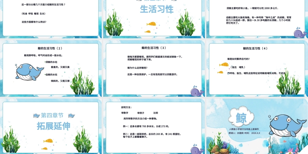 2022鲸PPT习作例文小学五年级语文上册部编人教版教学课件.pptx