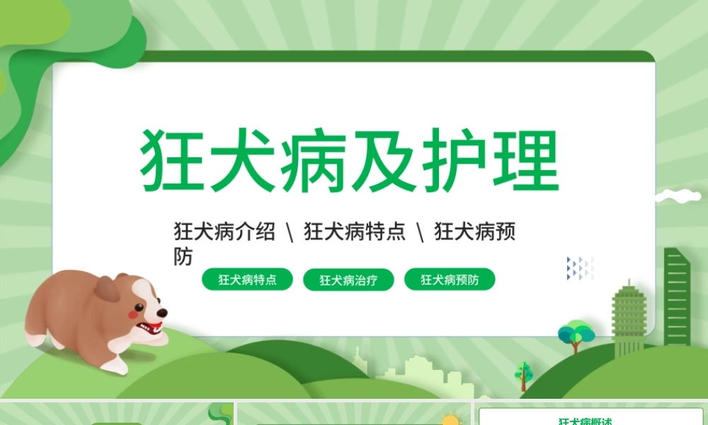 2022狂犬病介绍及护理PPT卡通风狂犬病介绍预防课件模板.pptx
