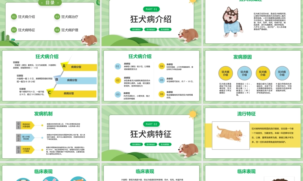 2022狂犬病介绍及护理PPT卡通风狂犬病介绍预防课件模板.pptx