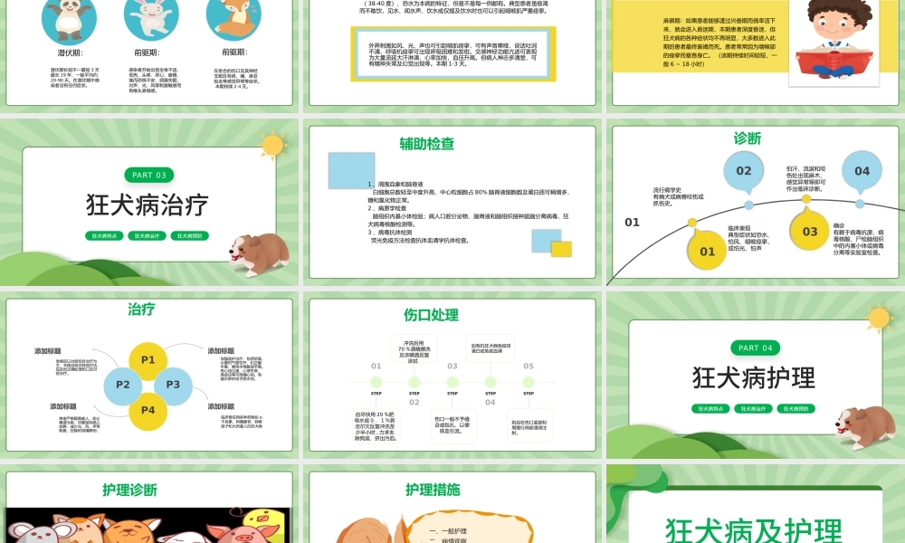 2022狂犬病介绍及护理PPT卡通风狂犬病介绍预防课件模板.pptx